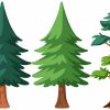 Pine Tree Different Shapes Vector Set – Evergreen Nature Illustration
